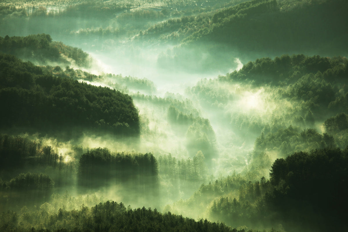 3-piece-aluminium-print-over-the-woods