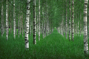 3-piece-canvas-print-the-tunnel