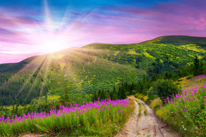aluminium-print-a-summer-landscape-at-sunrise