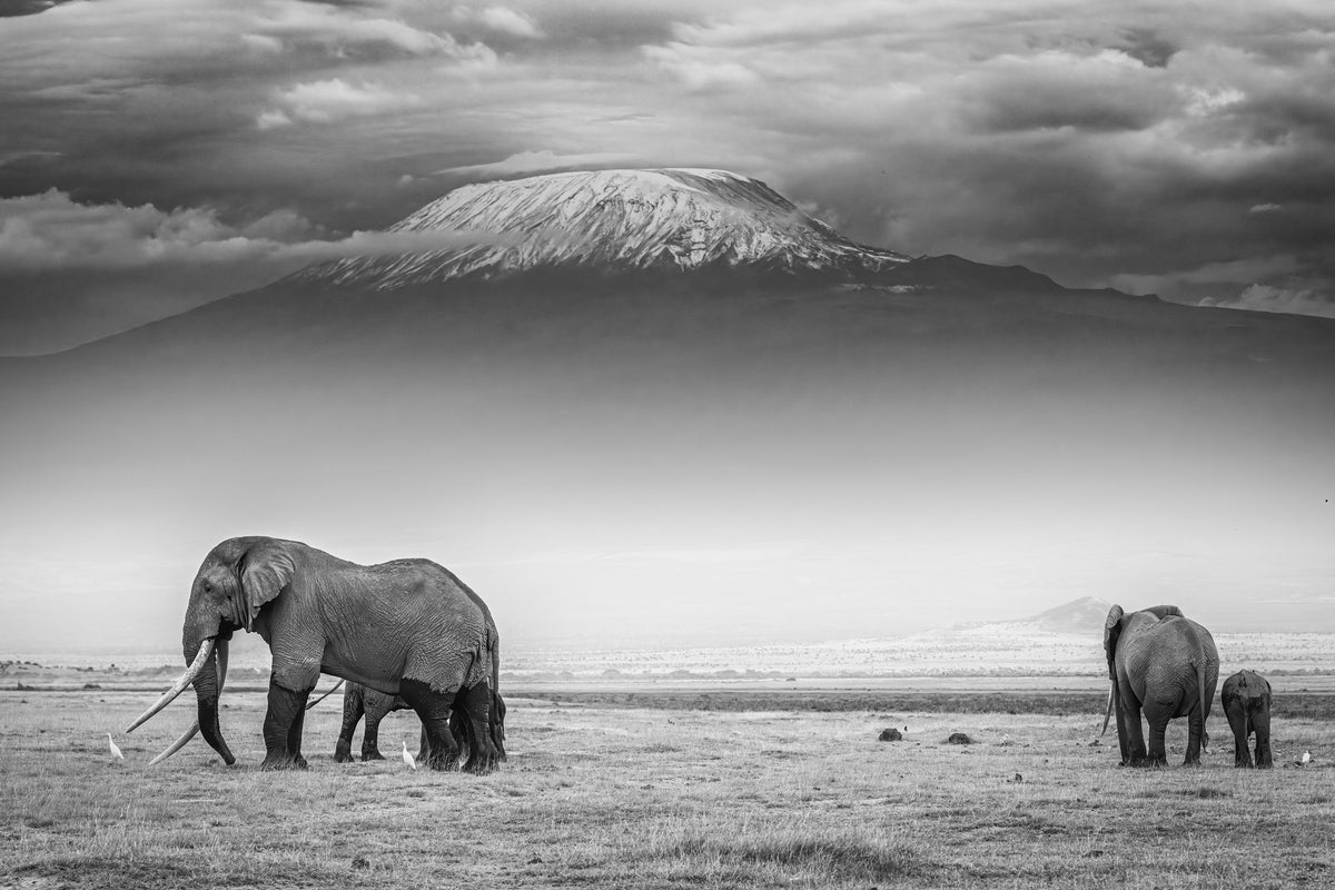 framedcanvas-print-the-land-of-giants-x
