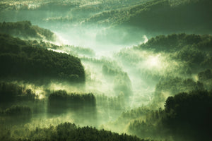 framedcanvas-print-over-the-woods