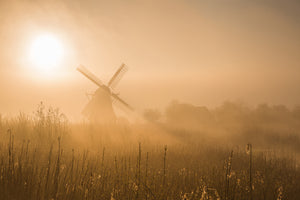 poster-print-golden-dawn-x