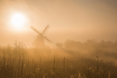 poster-print-golden-dawn-x
