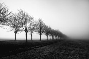 framedcanvas-print-losing-sight-x