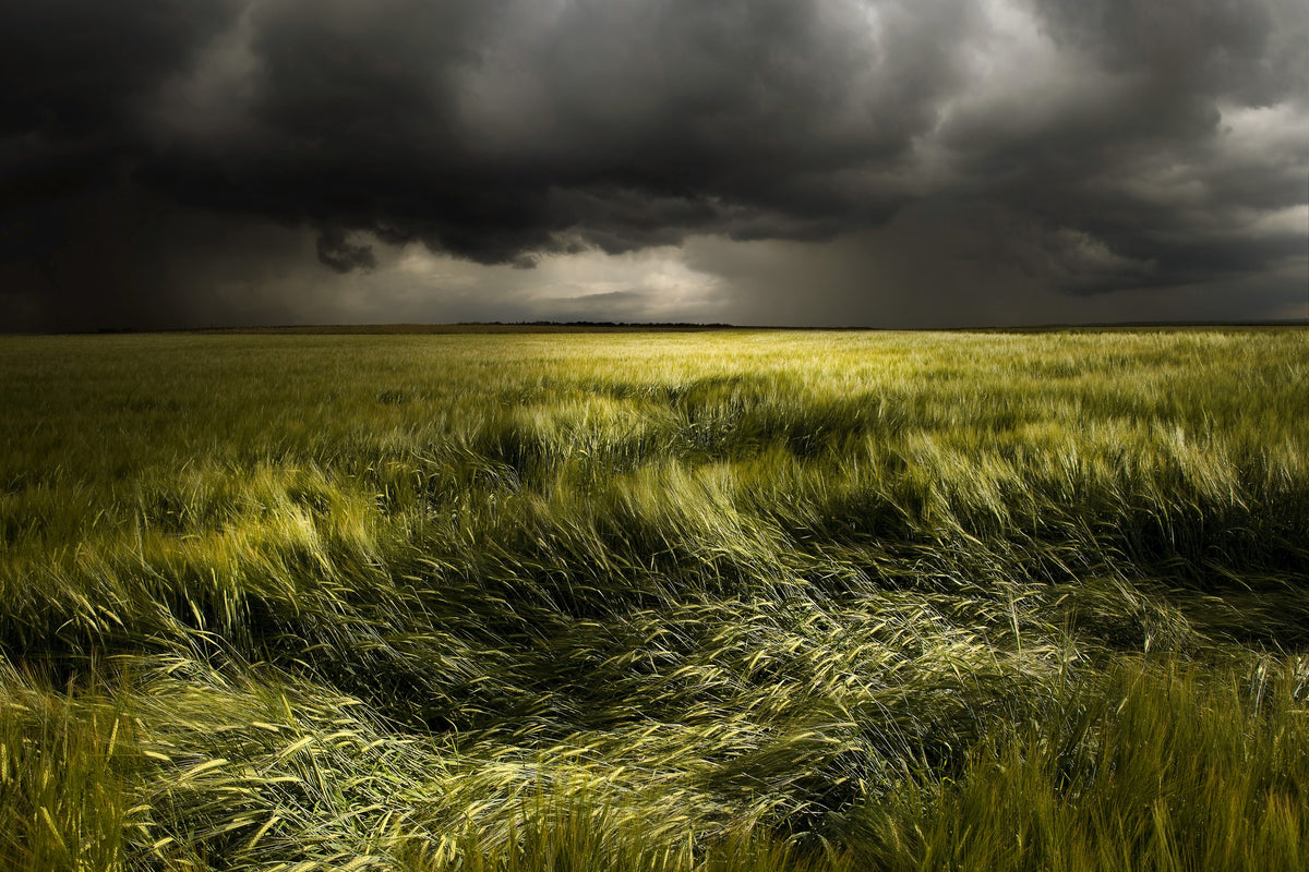 canvas-print-summer-weather