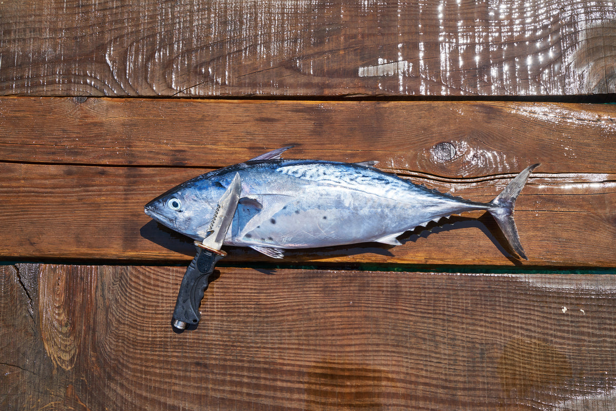 framedposter-print-the-fresh-fish
