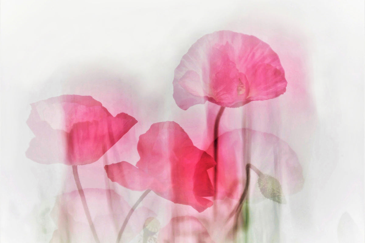 acrylic-print-flowers