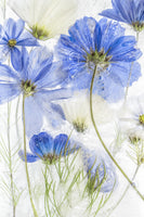 canvas-print-cosmos-blue