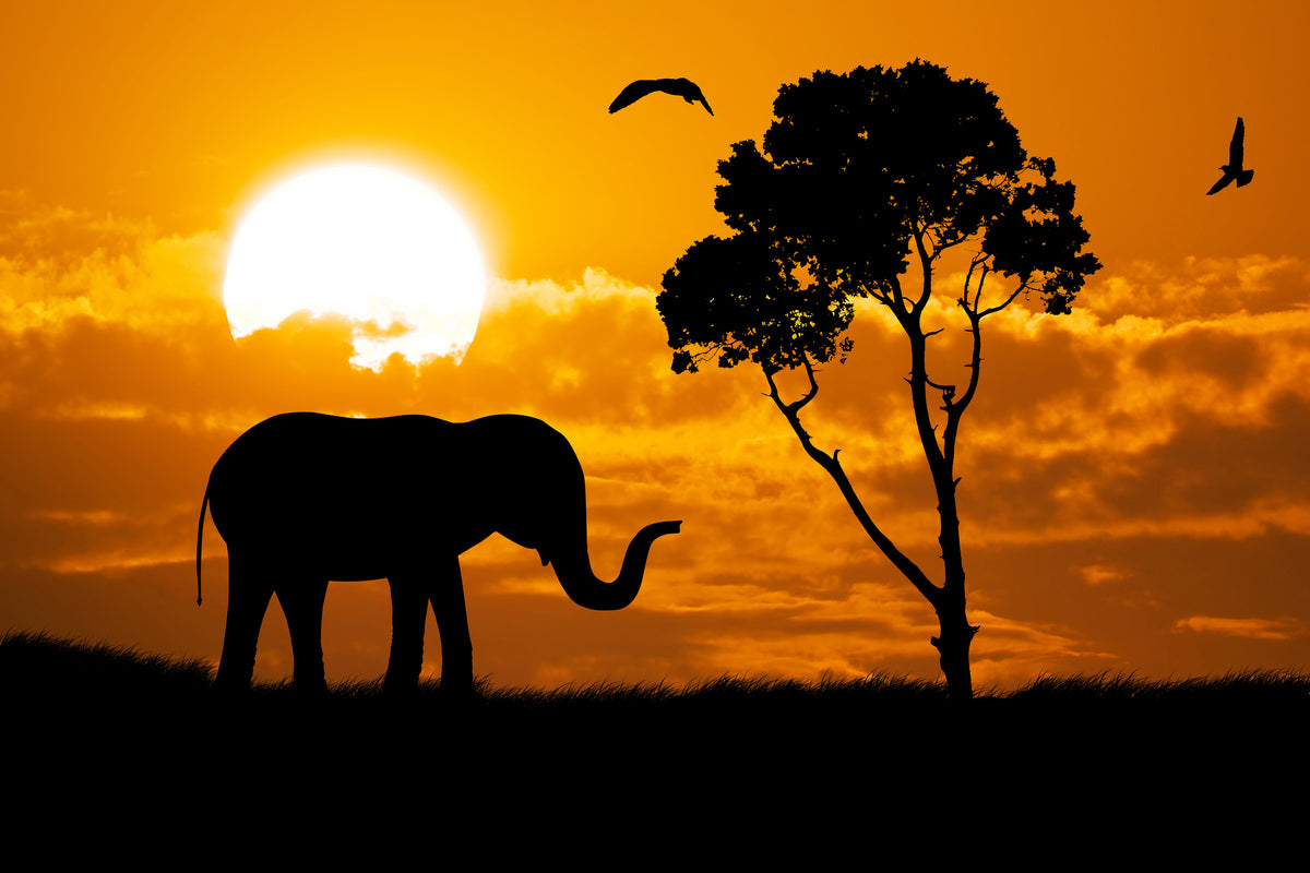 3-piece-acrylic-print-dreamy-africa