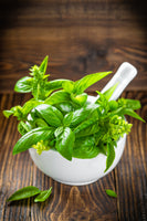 canvas-print-fresh-basil