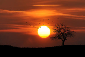 acrylic-print-the-sunset-on-the-horizon