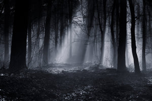 3-piece-canvas-print-capela-forest