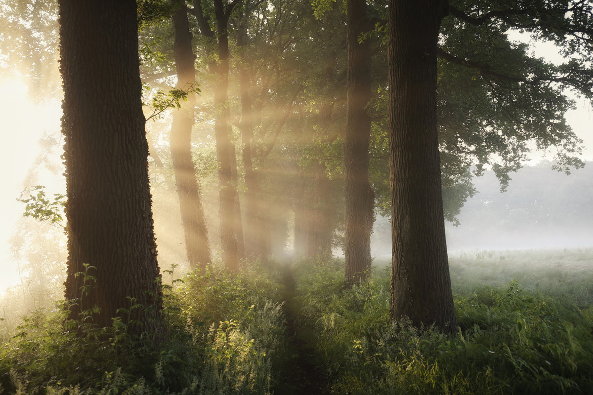 modern-3-piece-canvas-print-first-day-of-summer