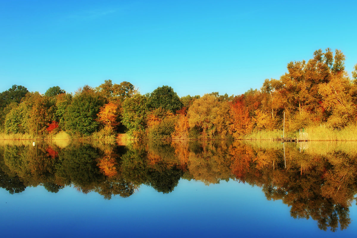 3-piece-acrylic-print-autumn-reflections
