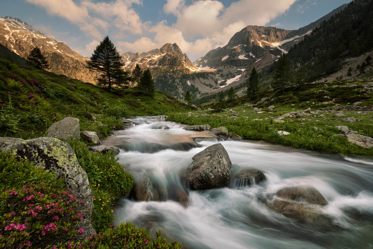 poster-print-maritime-alps-park-x