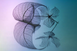 framedcanvas-print-story-of-leaf-and-flower