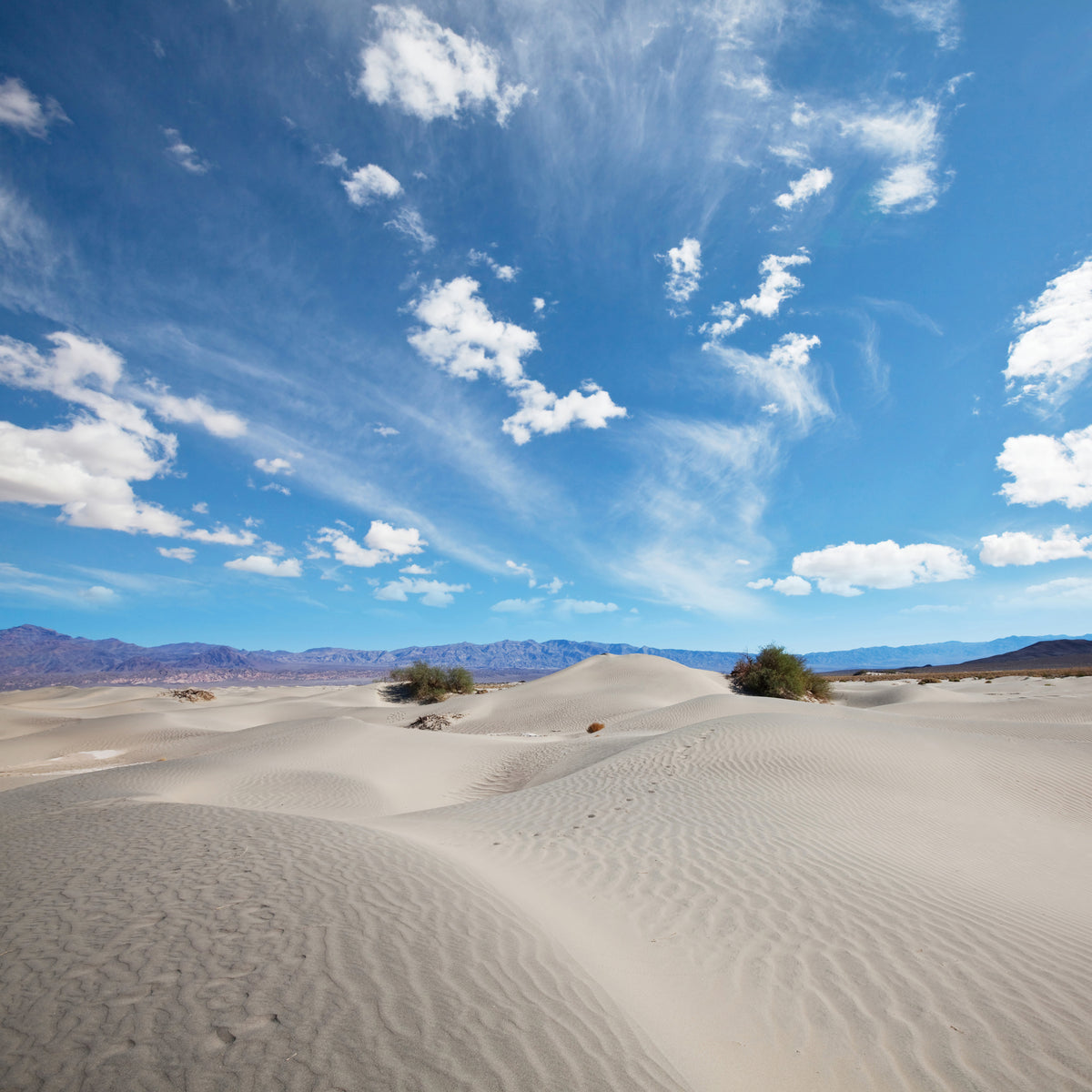 9-piece-aluminium-print-desert-landscape