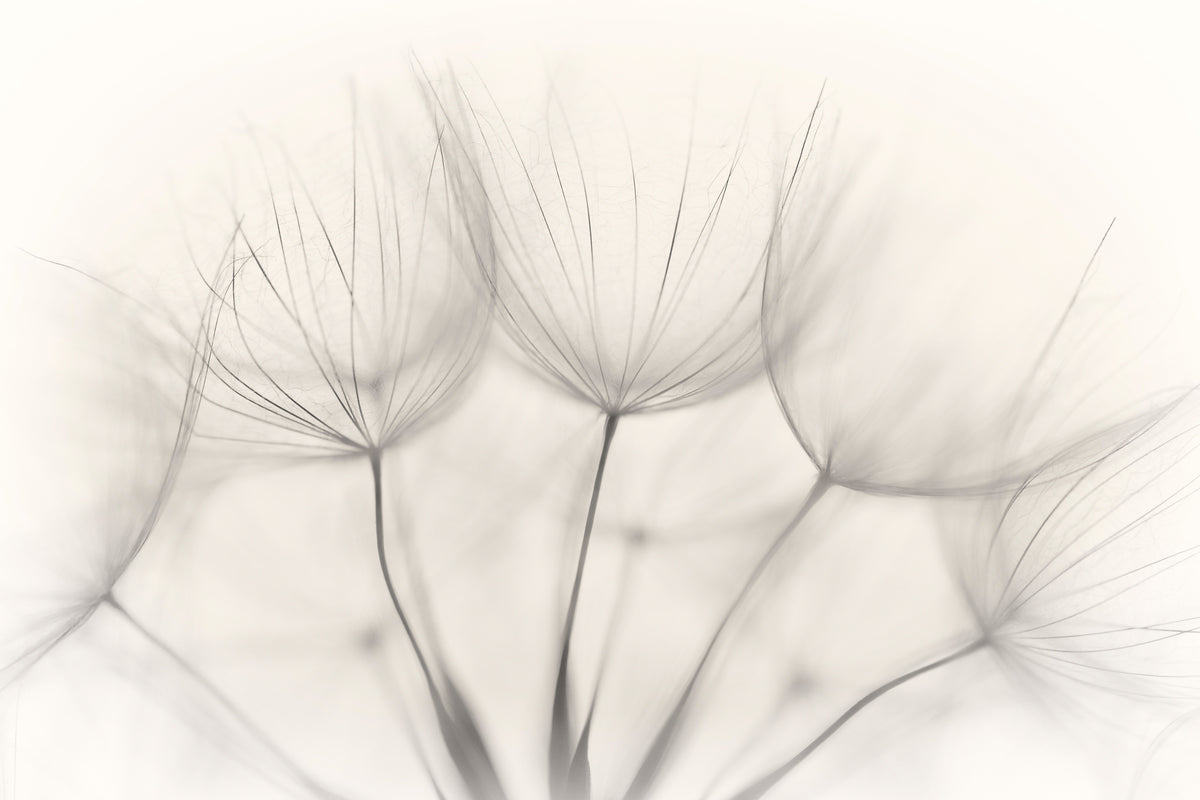 canvas-print-no-title