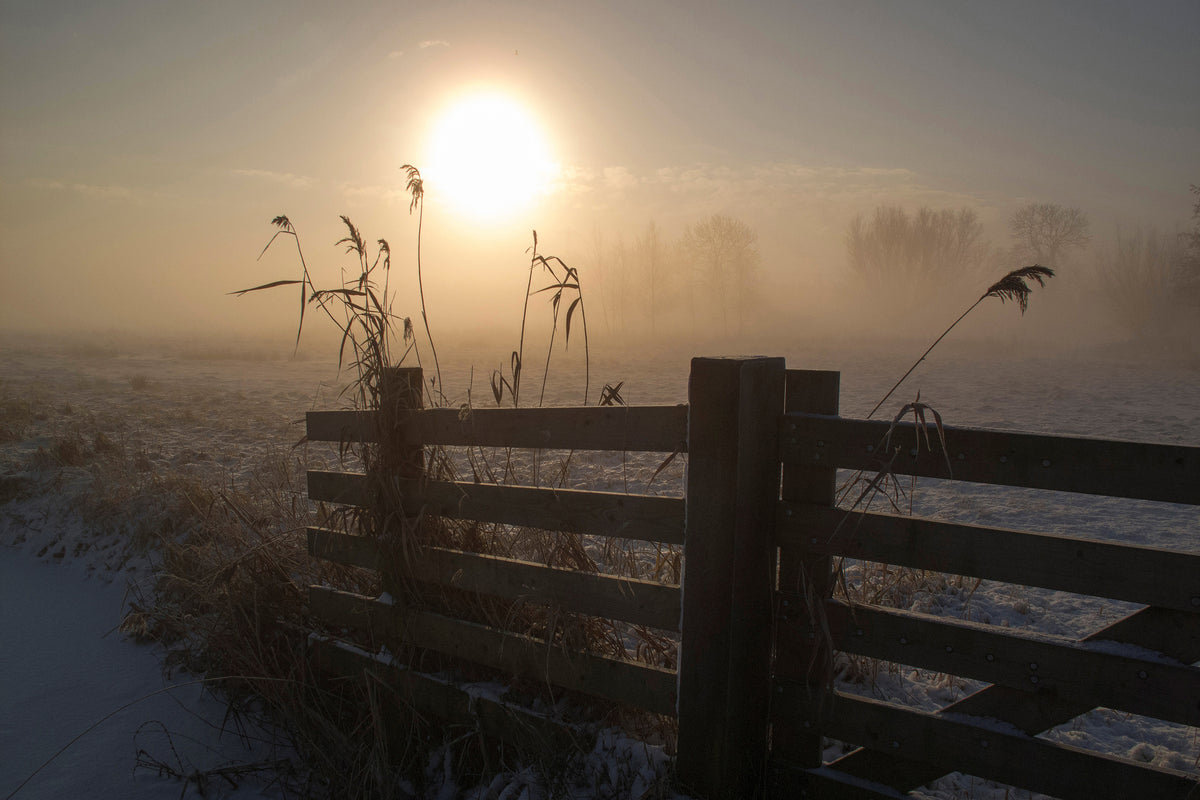 modern-3-piece-canvas-print-winter-mood
