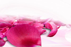 modern-3-piece-canvas-print-rose-petals-in-pink-iii