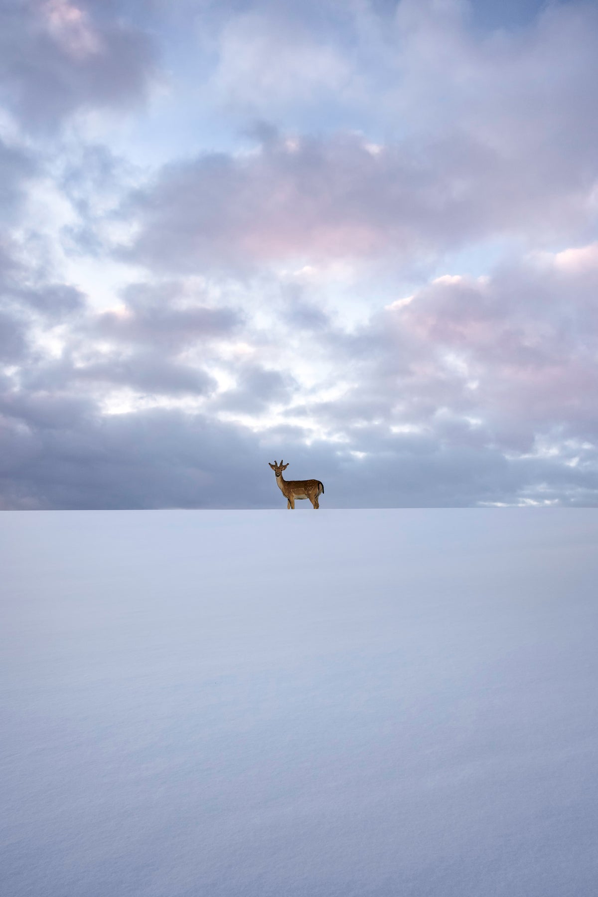 framedcanvas-print-alone