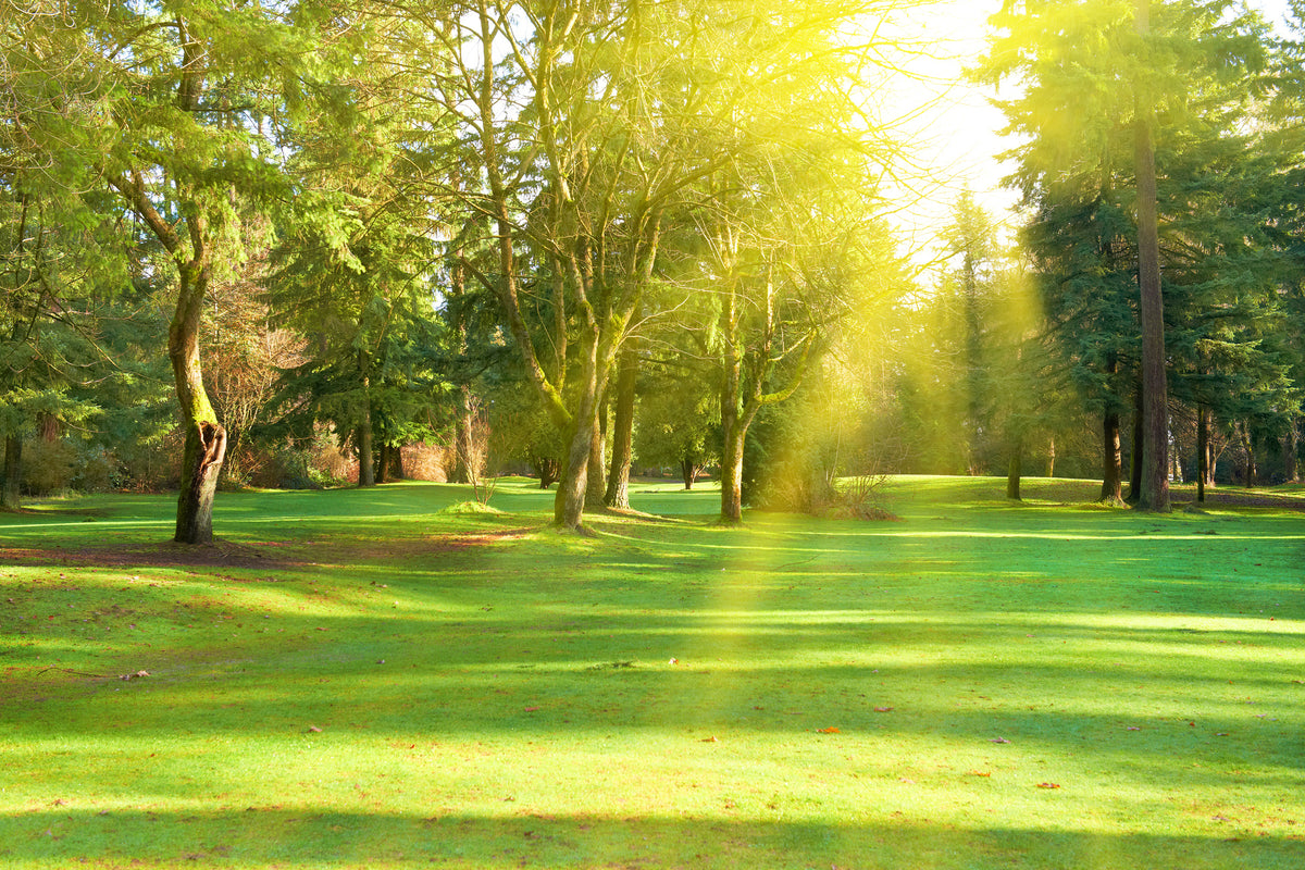 modern-3-piece-aluminium-print-in-the-park