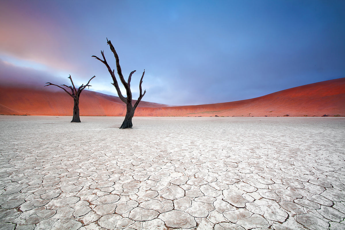 framedposter-print-mist-over-deadvlei-x