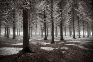 3-piece-canvas-print-the-onset-of-winter