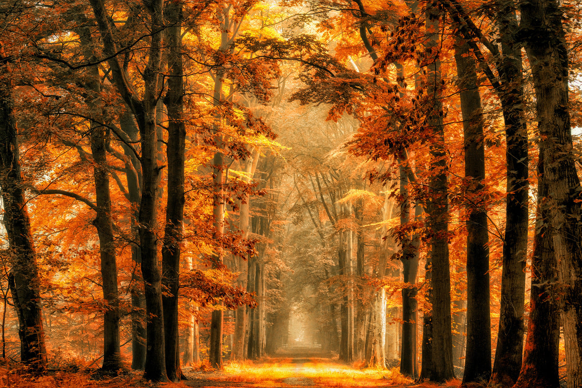 3-piece-canvas-print-exit-the-portal