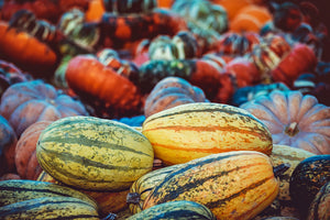 modern-3-piece-acrylic-print-pumpkin-types