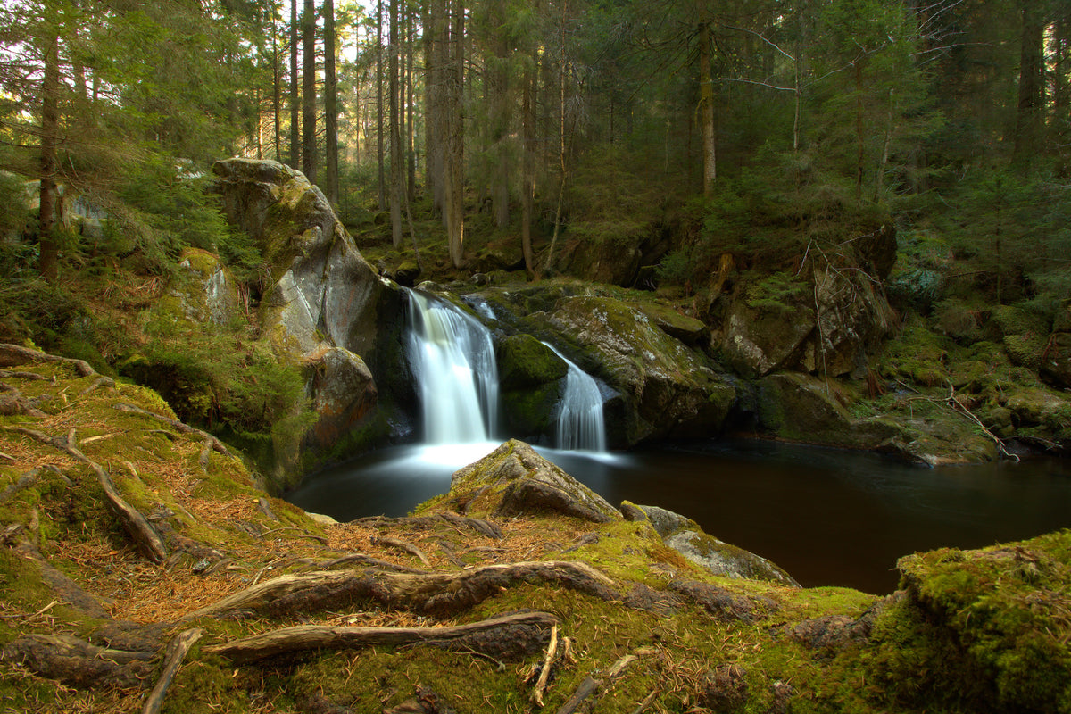 poster-print-small-waterfall-in-the-forest