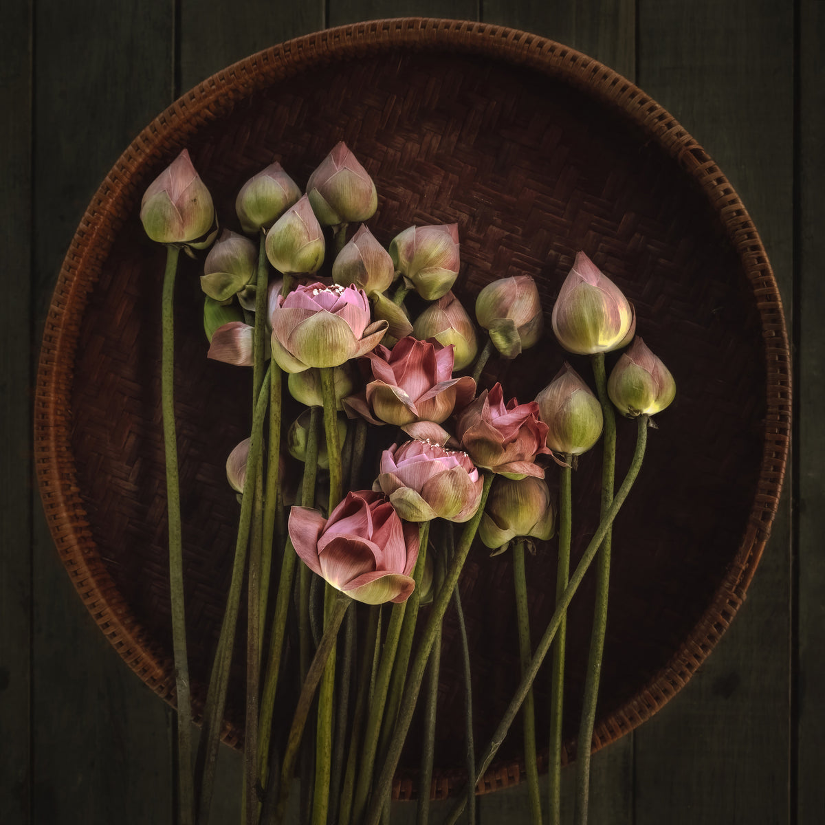 9-piece-canvas-print-18no