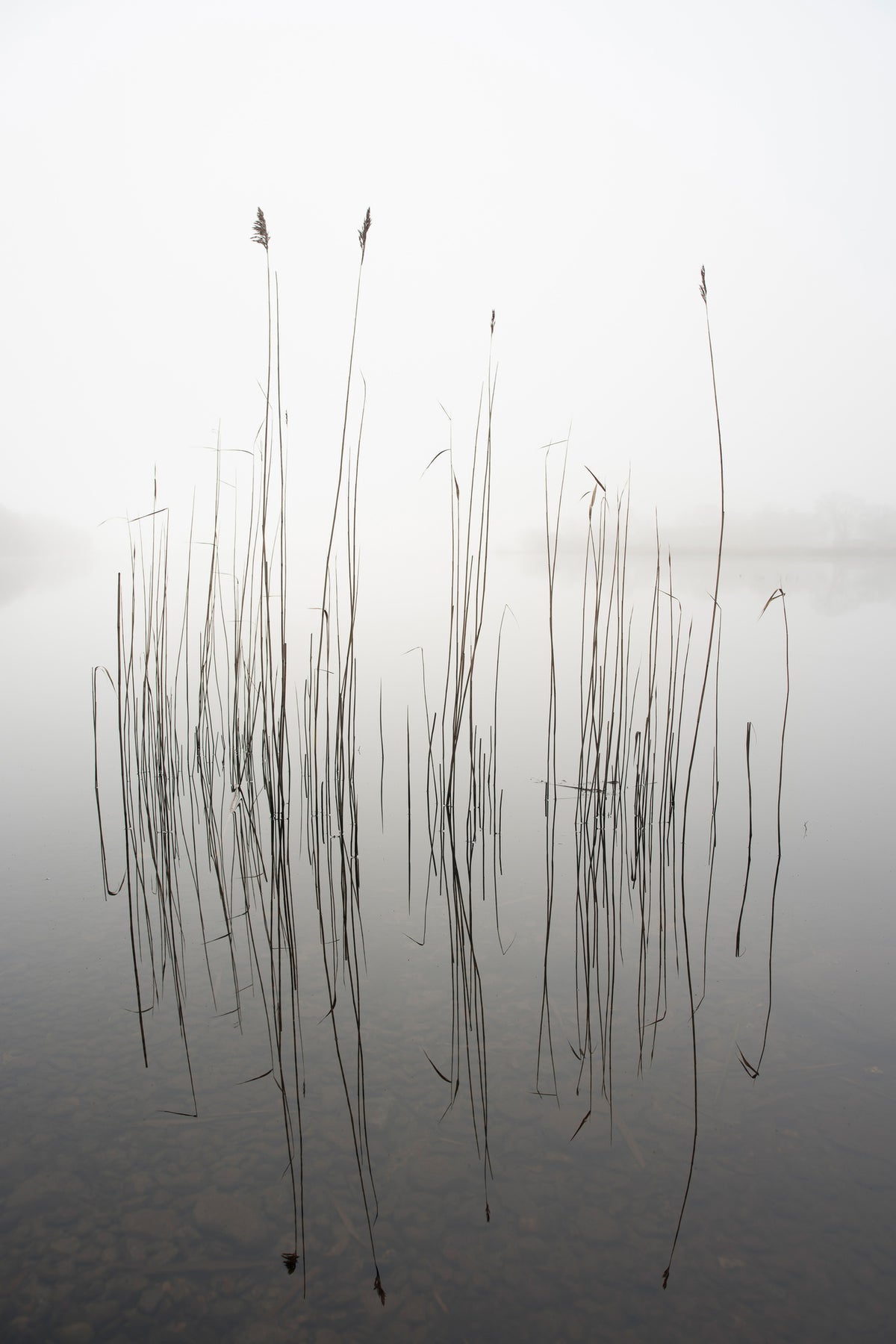 framedcanvas-print-silence