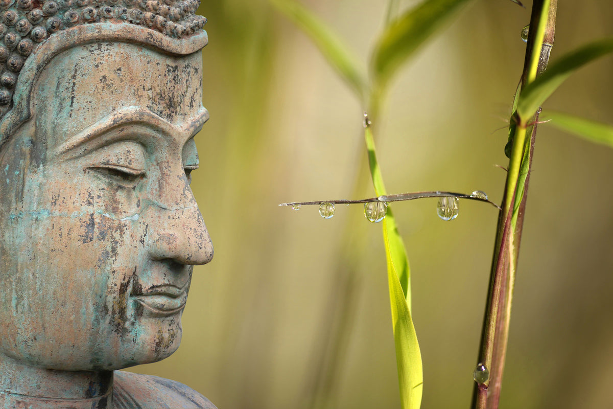 framedposter-print-xl-buddha-head
