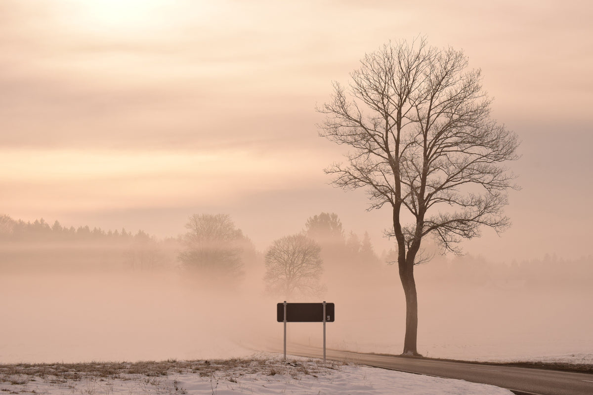 canvas-print-mystic-mood-in-nature