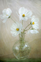 framedcanvas-print-cosmos-breeze