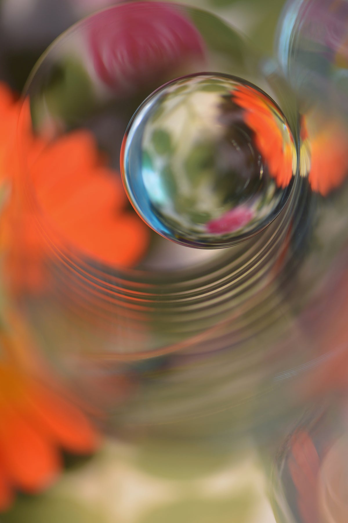 poster-print-floral-sphere
