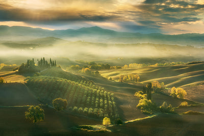 poster-print-autumn-a