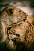framedcanvas-print-what-is-love-x