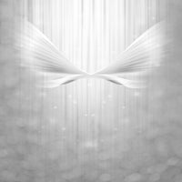 aluminium-print-angel-wings