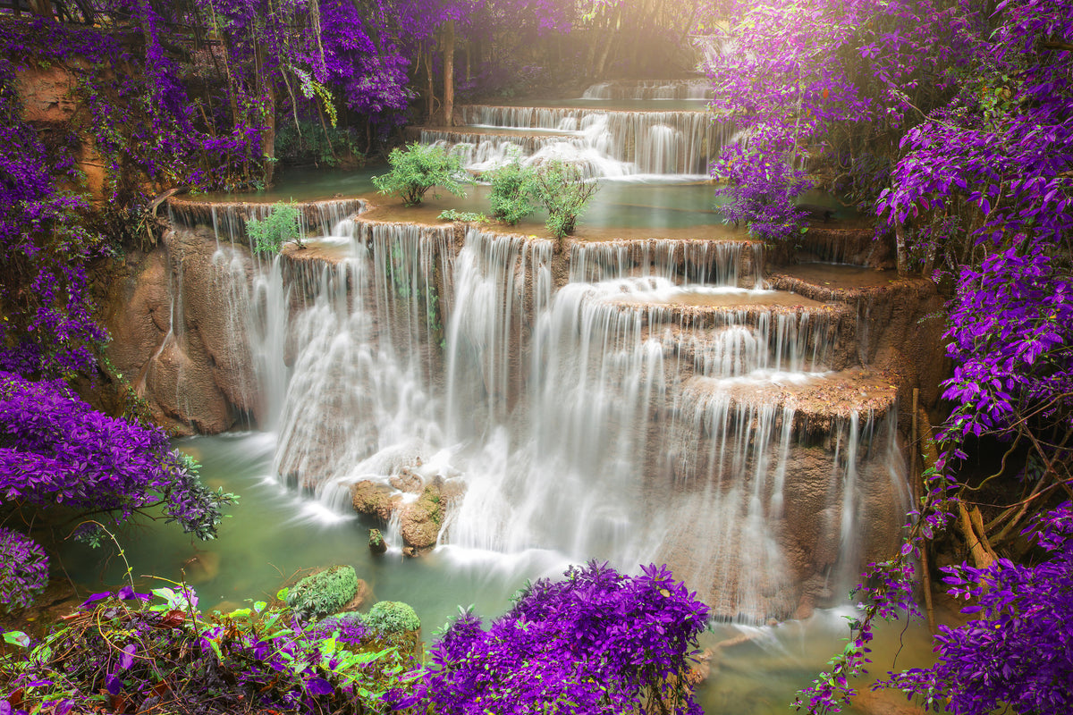 framedcanvas-print-photowallpaper-garden-eden