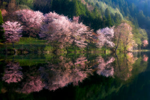 canvas-print-another-world-xtm