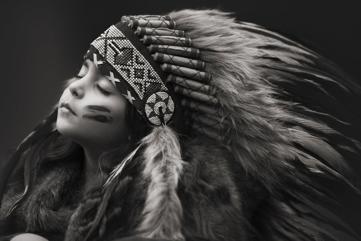 framedposter-print-chief-of-her-dreams