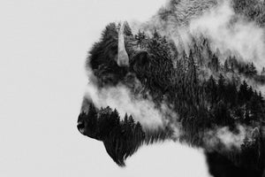 aluminium-print-bison-x