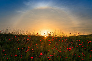 modern-3-piece-acrylic-print-red-poppies-and-sunrise