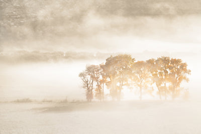 poster-print-autumn-dreams