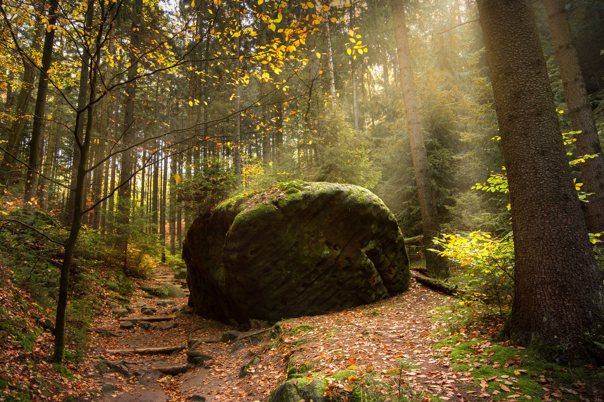 modern-3-piece-aluminium-print-the-rock-in-the-forest