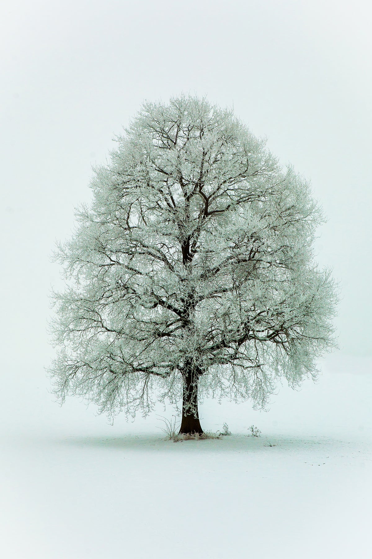 canvas-print-nimloth-x