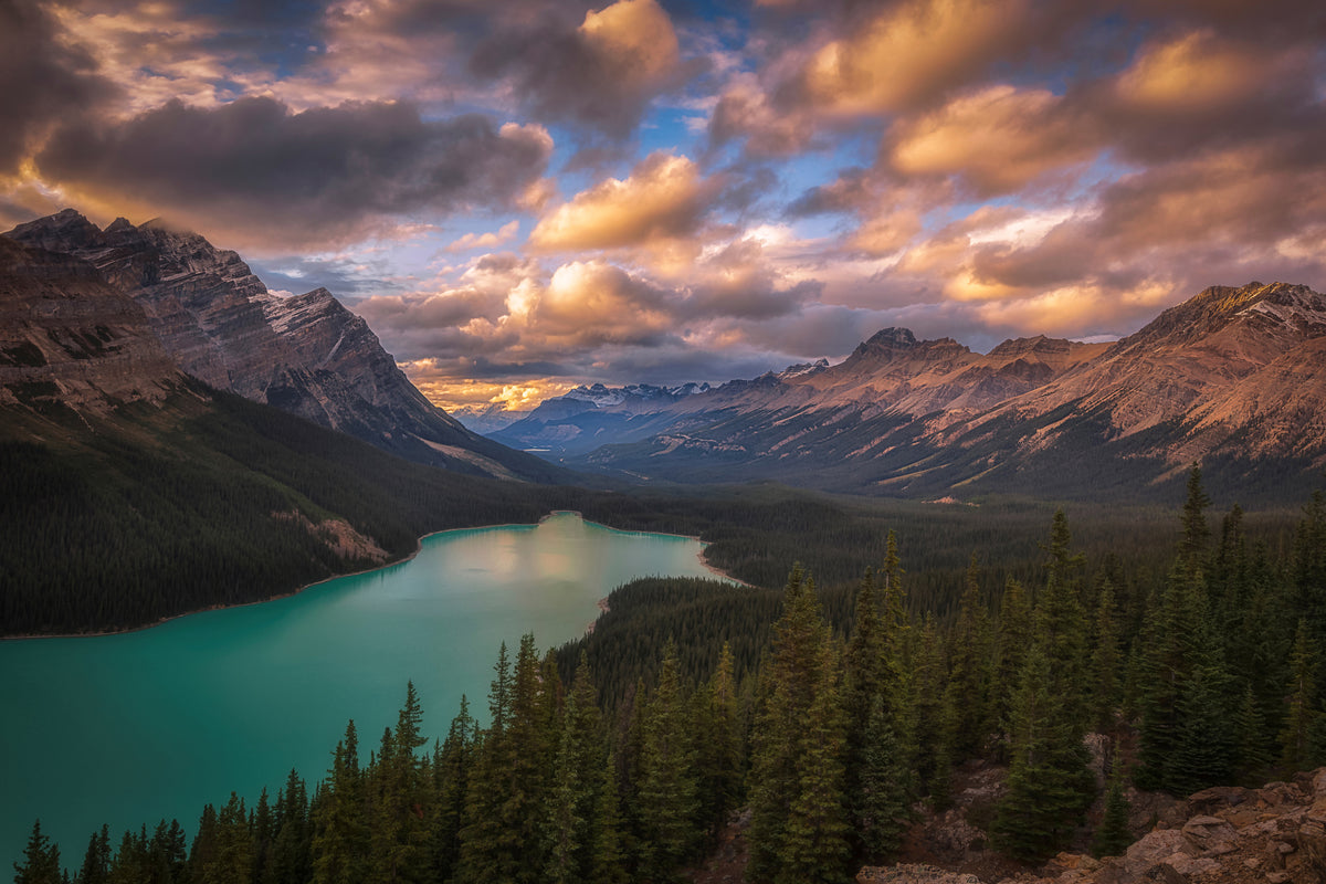 framedposter-print-peyto-lake-at-dusk