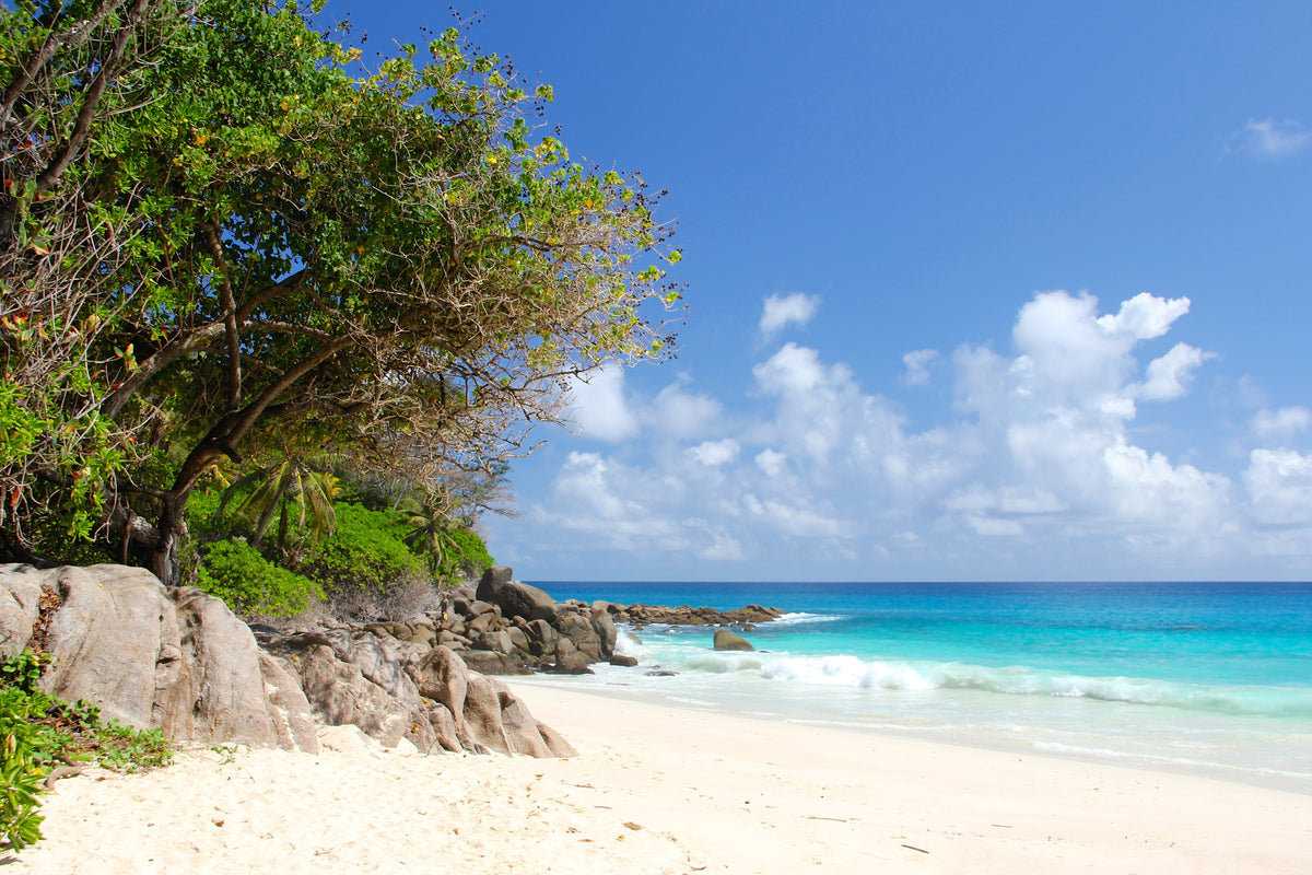 framedcanvas-print-dream-beach-seychelles